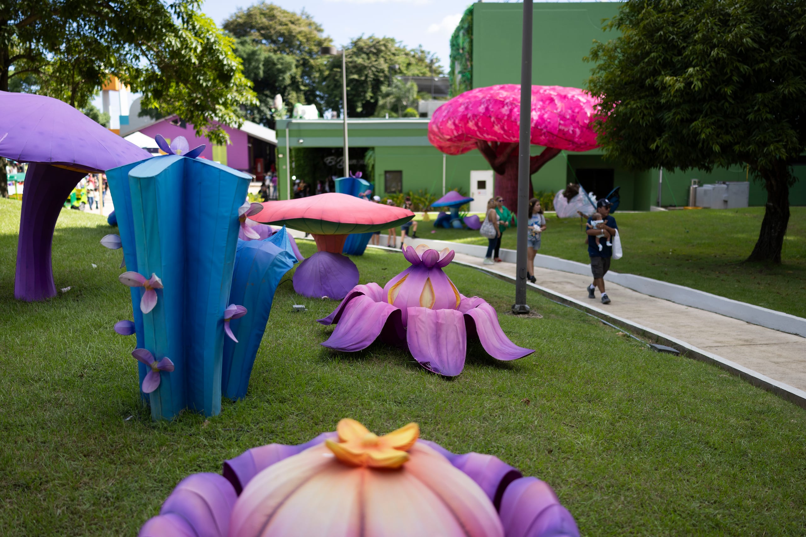 19 de Noviembre de 2024 – Bayamón PR — Parque de la ciencias -  entrevista a varias personas sobre el dia feriado (dia del descubrimiento de Puerto Rico) durante la apertura gratuita del parque de la ciencias. 
Foto por:  
Xavier Araújo | GFR Media
xavier.araujo@gfrmedia.com
Araujo