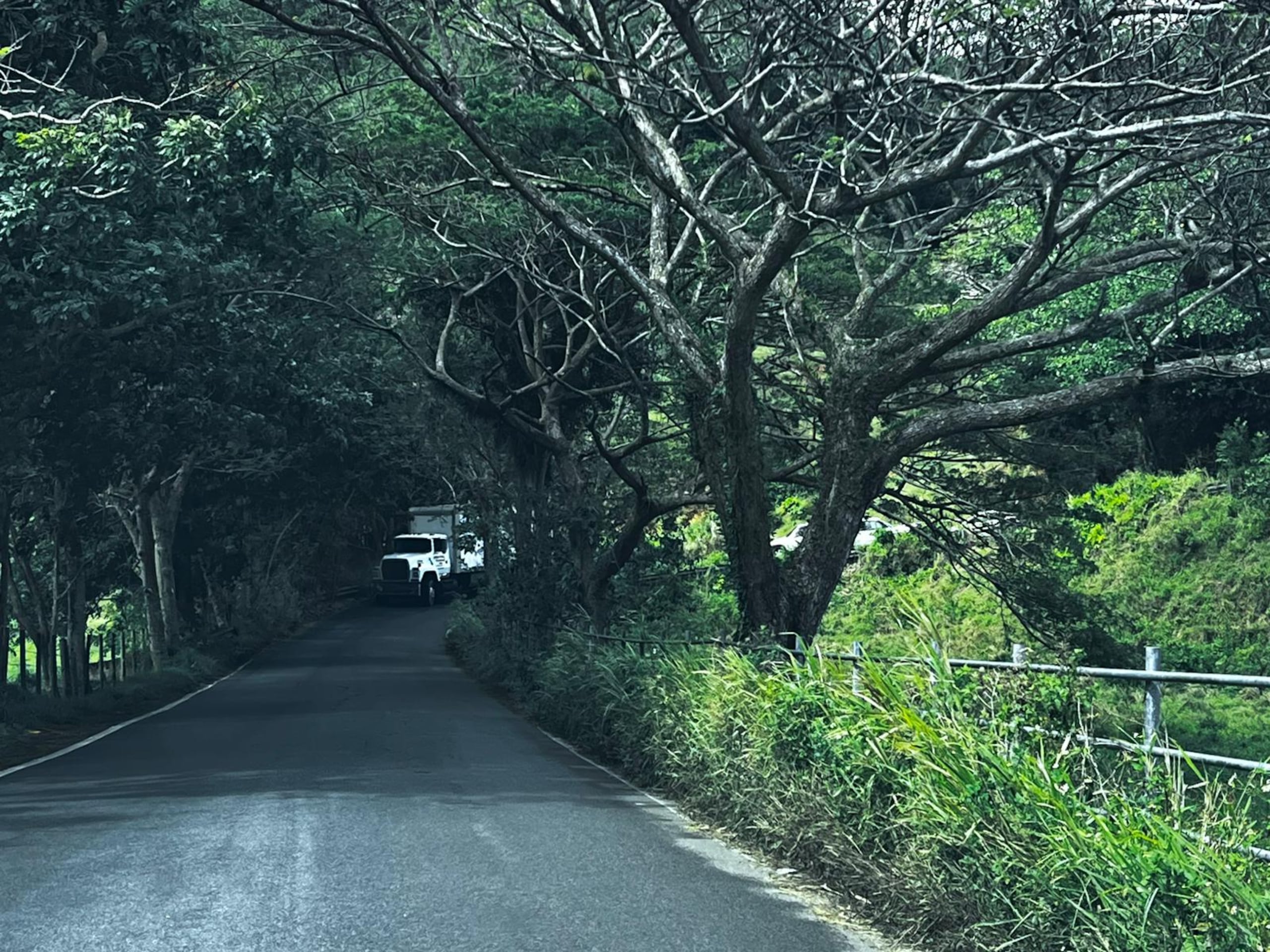 Las rutas alternas, la PR-134 y la PR-487, son carreteras angostas y bastante escabrosas.