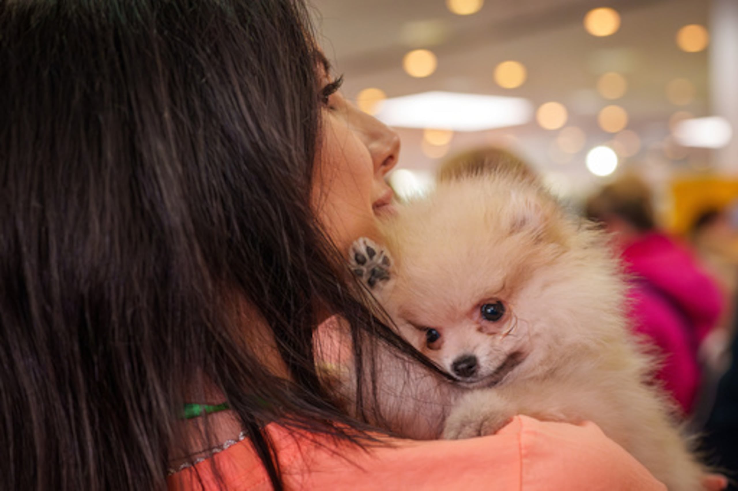 Según los psicólogos, la forma en que se relacionan con sus mascotas dice mucho de los amos.