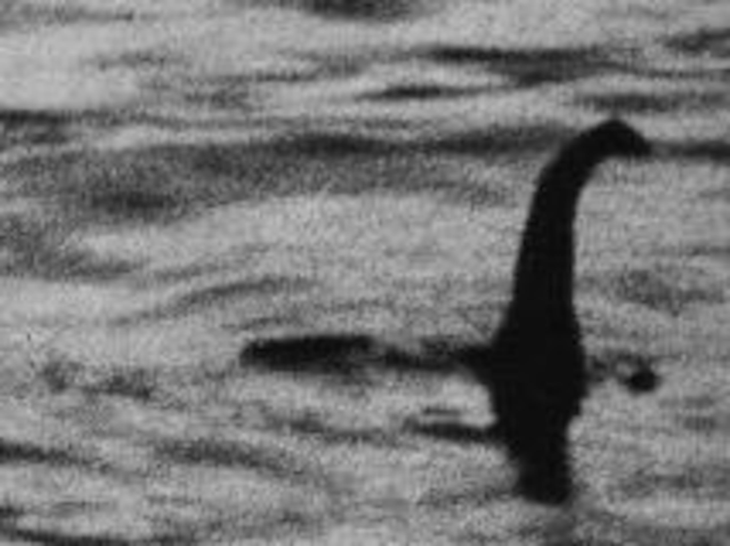 En 1994, uno de los autores de la foto más famosa de la criatura de lago Ness, tomada en 1934, confesó que la imágen era un fraude.