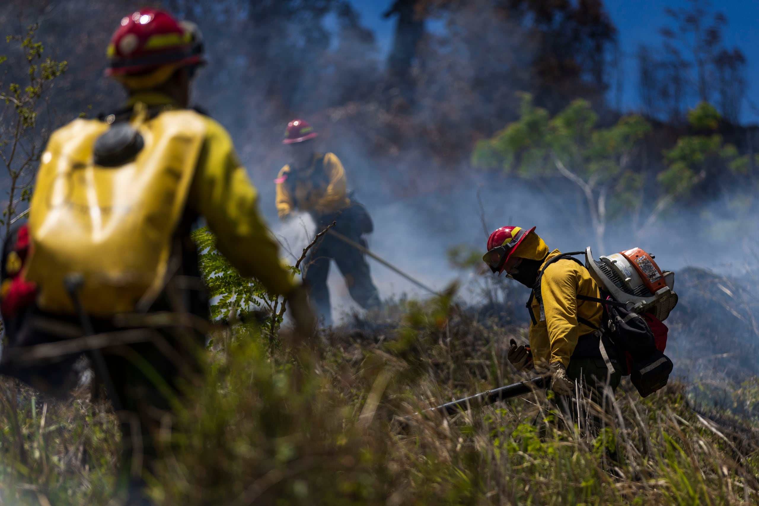 Este fin de semana brigadas del Programa de Fuegos Forestales del Negociado del Cuerpo de Bomberos tuvieron que meterse monte adentro en jurisdicciones de Guánica, Lajas y Cabo Rojo a contener los incendios que amenazaban con extenderse cerca de comunidades donde hay negocios y residencias.