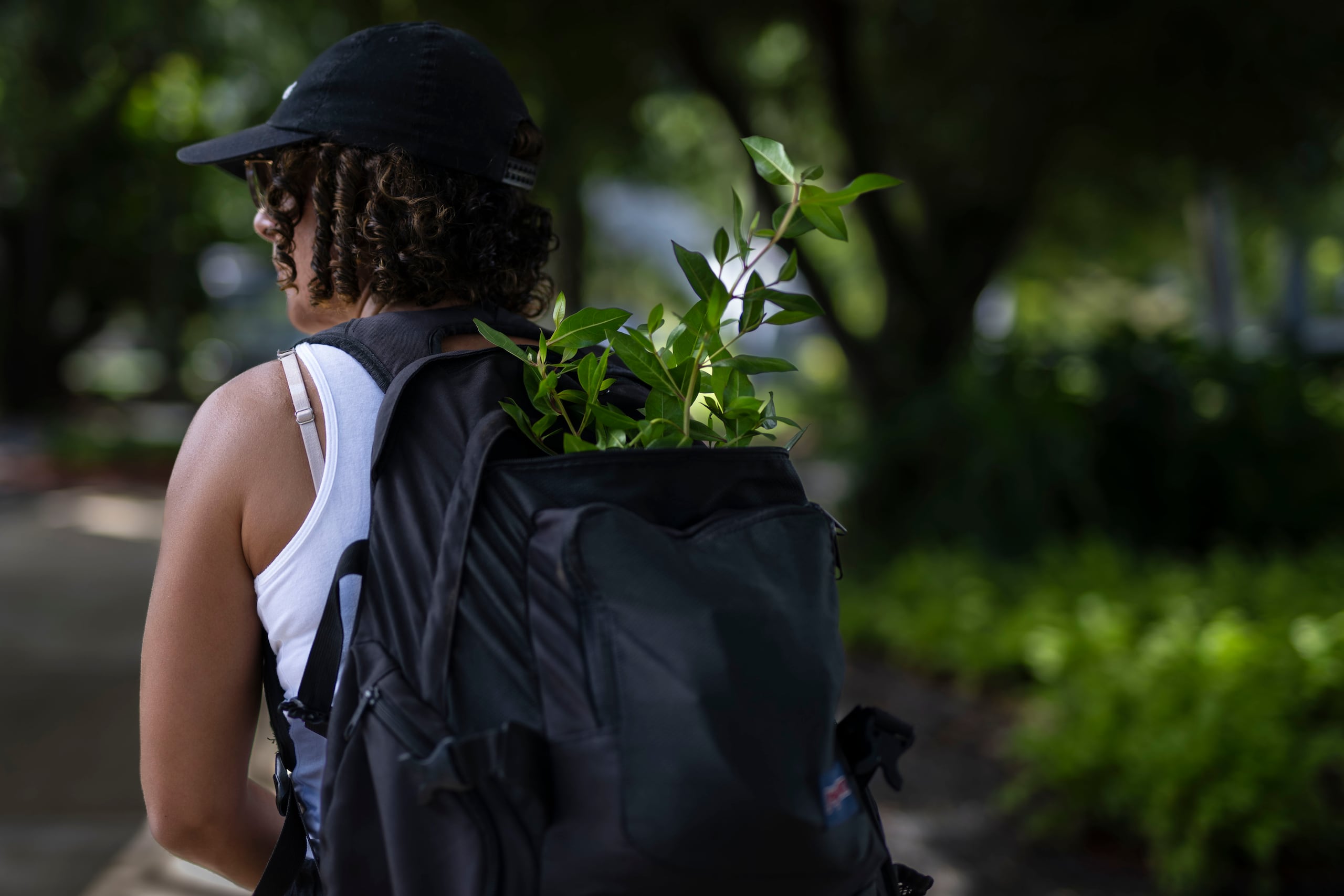 Para la Naturaleza hace un llamado a mitigar las altas temperaturas y los efectos del cambio climático mediante la reforestación de árboles nativos, endémicos y frutales.
