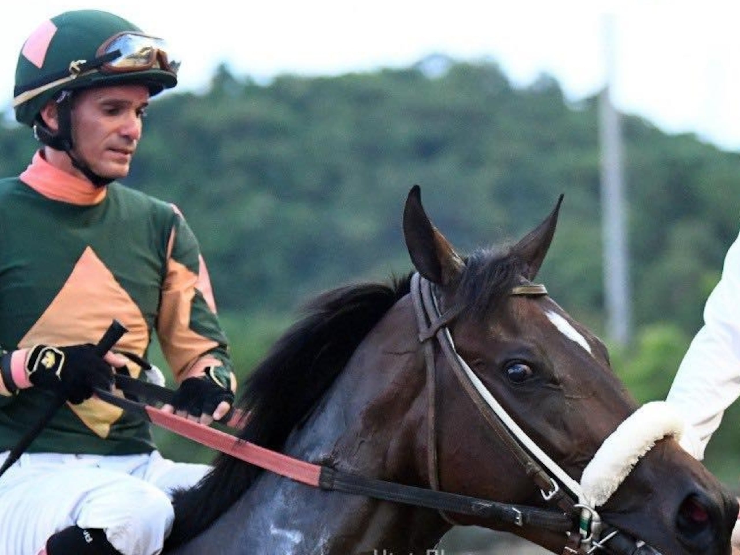 Javier Santiago y Sonajero regresan ganadores del clásico Puerto Rico Futurity el domingo en Camarero.