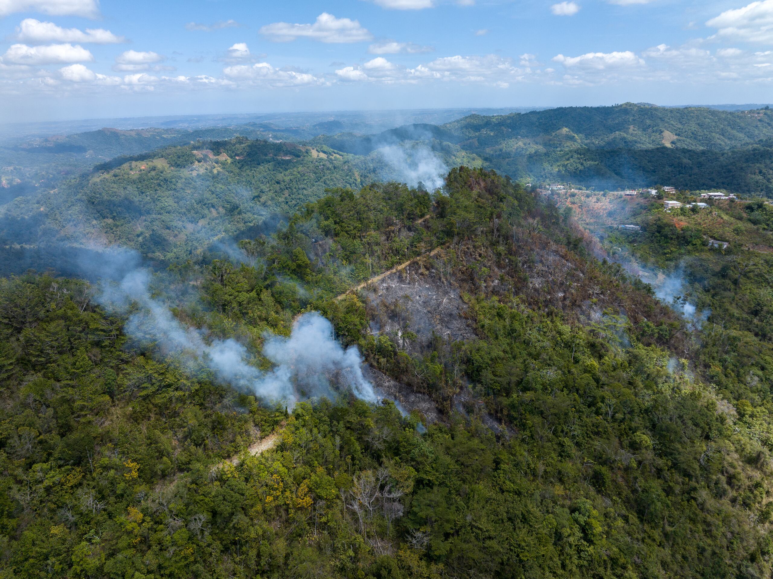 Imagen de un fuego forestal que afectó a Maricao en marzo de 2023.