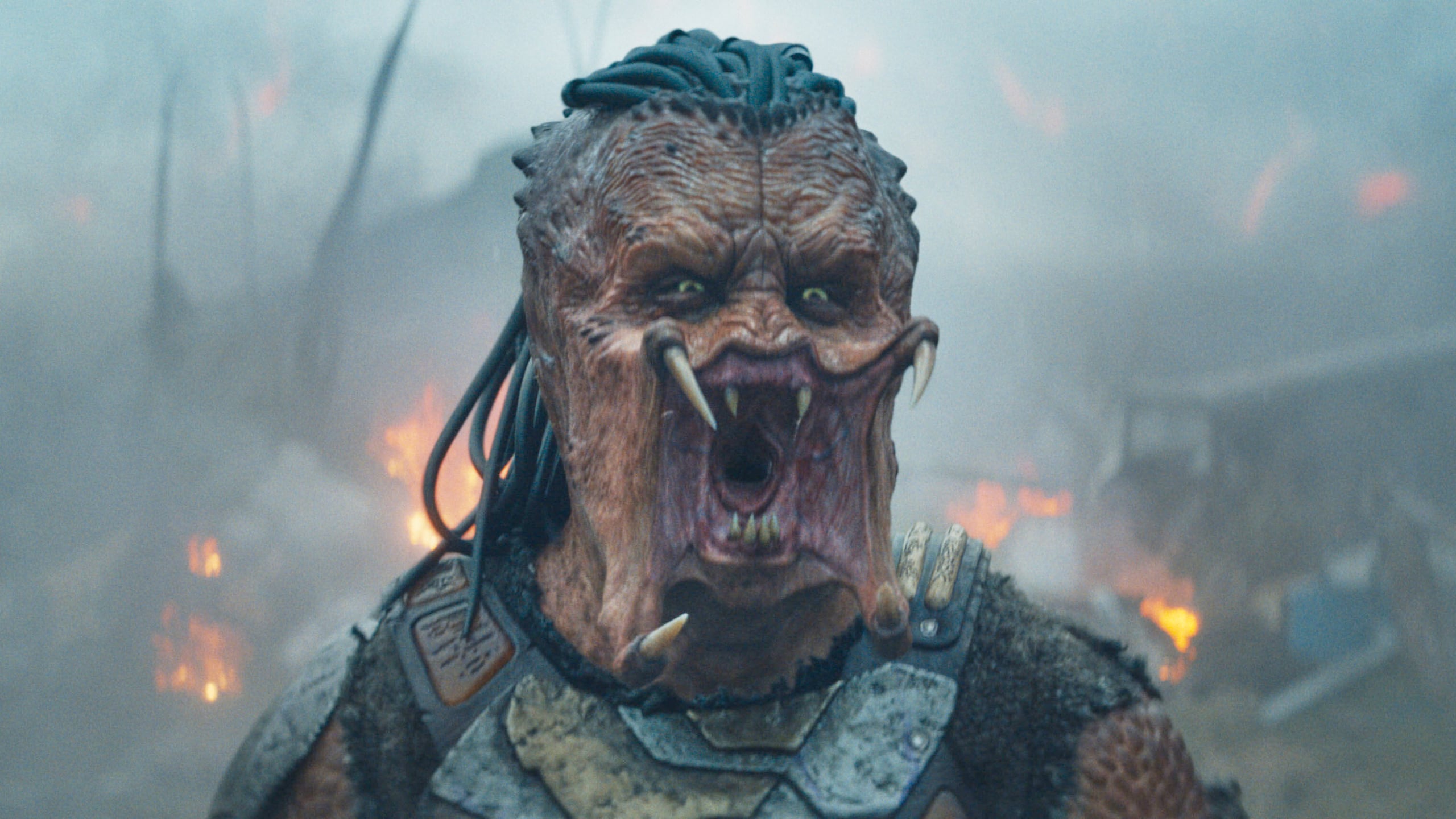 "Predator: Badlands"