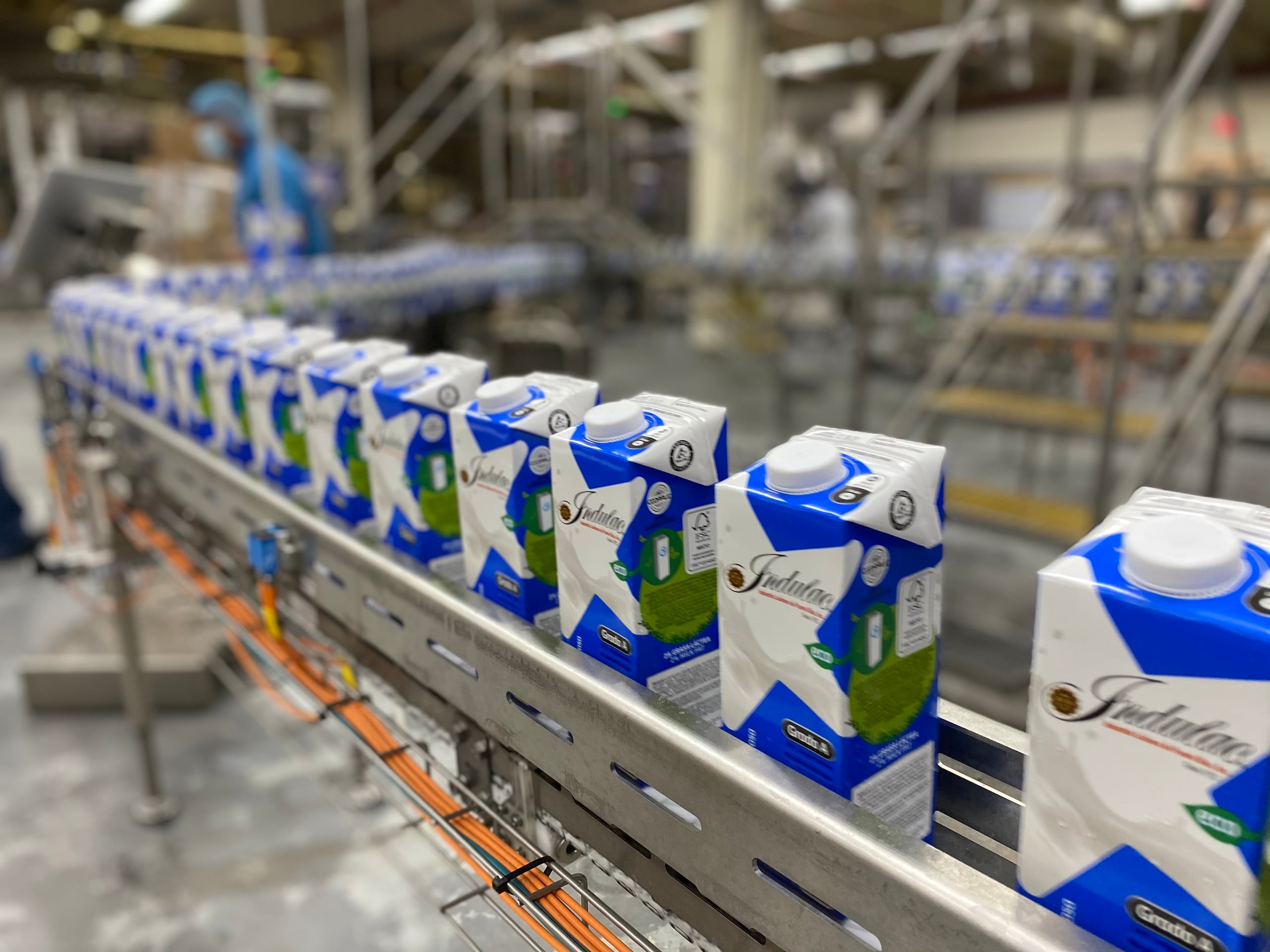 La Cooperativa de Productores de Leche (COOPPLE), empresa matriz de INDULAC, agrupa sobre el 70% de los ganaderos de Puerto Rico.