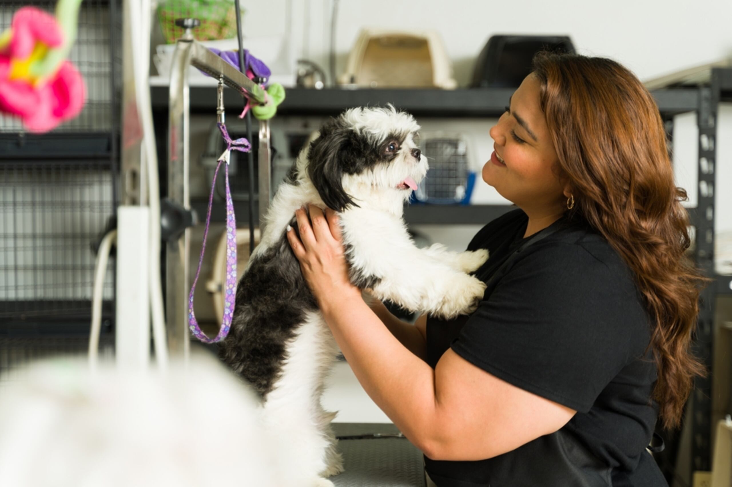 Descubre tu pasión y alcanza el éxito en ICPR Junior College.