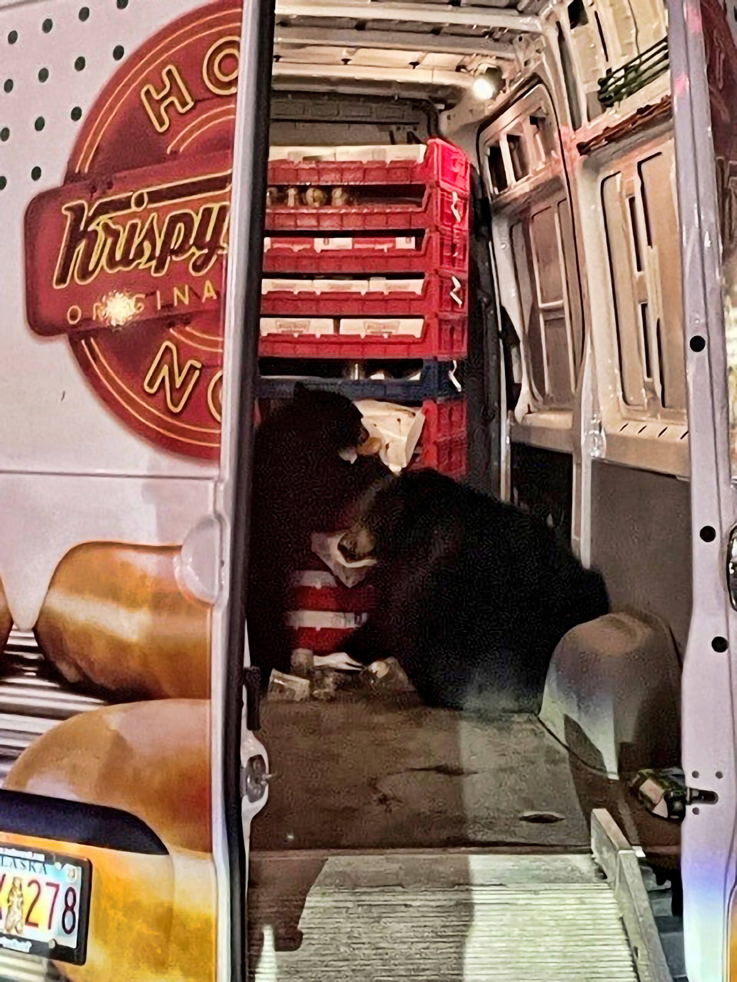 En esta fotografía del 12 de septiembre de 2023 cortesía de Shelly Deano se ve a dos osos dentro de una camioneta de donas en Anchorage, Alaska. (Shelly Deano via AP)