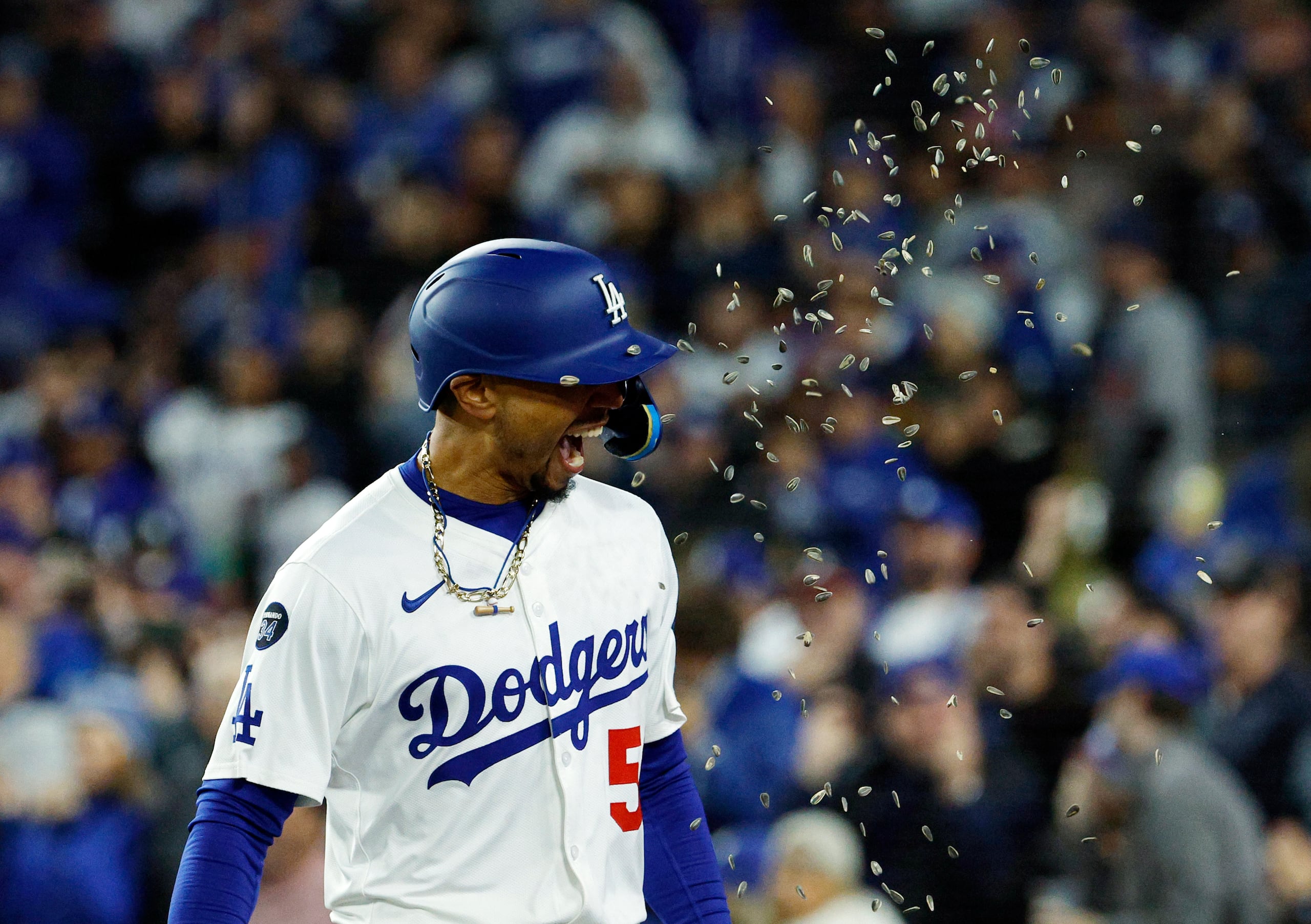 Mookie Betts, de los Dodgers de Los Ángeles, festejan mientras sus compañeros le lanzan semillas de girasol, luego de batear un jonrón ante los Bravos de Atlanta, el martes 1 de abril de 2025 (AP Foto/Kevork Djansezian)