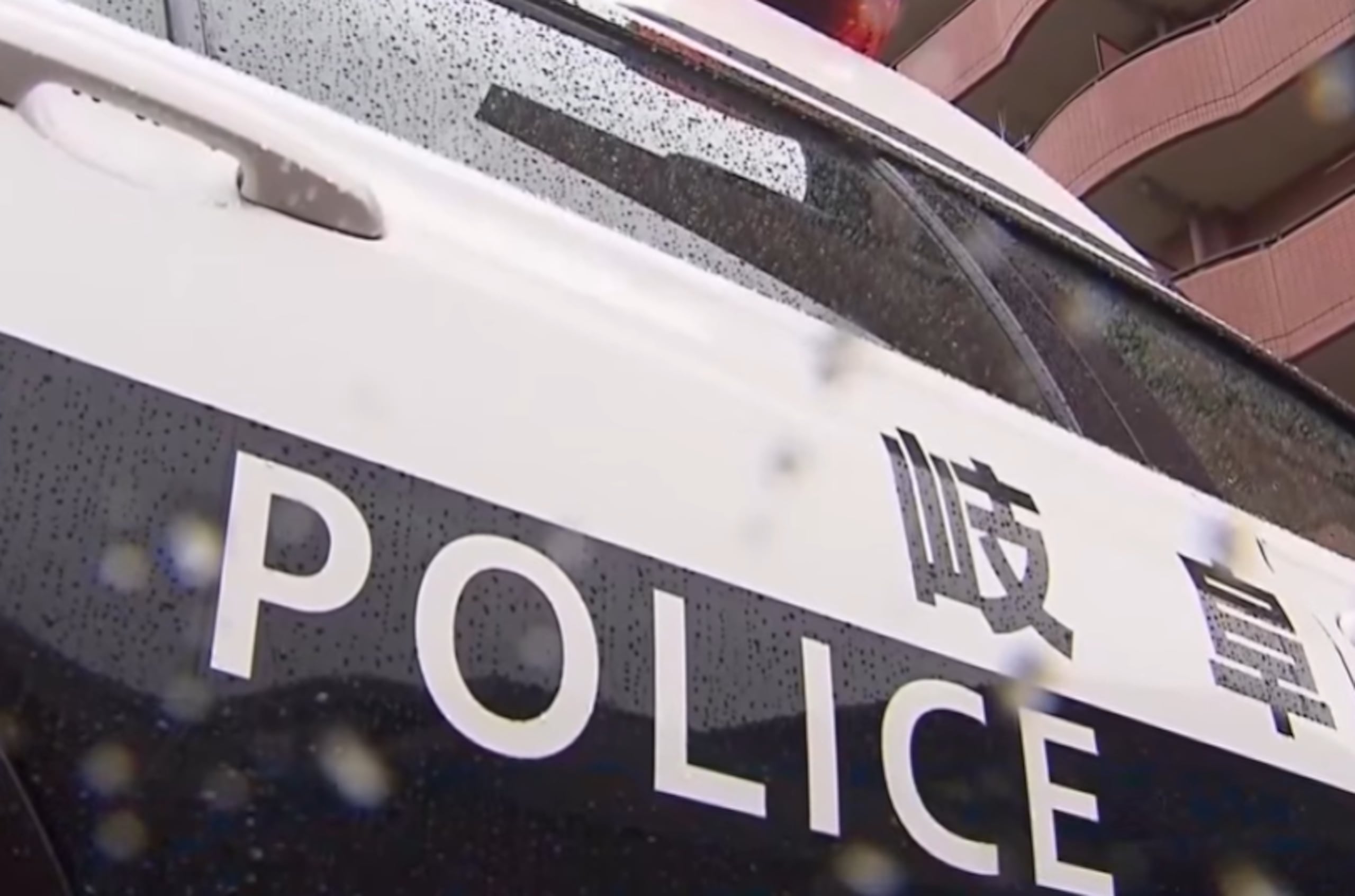 Policía de Japón.