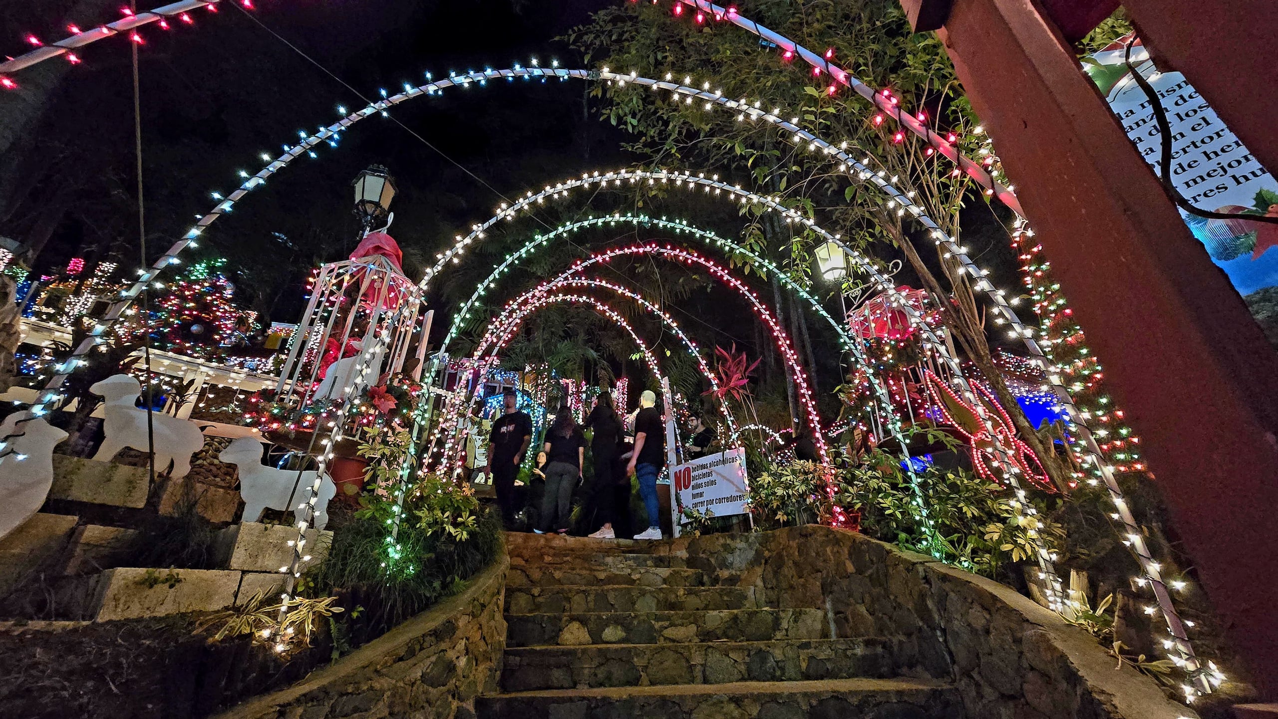 El Bosque Navideño de Jayuya celebró su encendido el pasado viernes y continuará abierto hasta el 12 de enero.