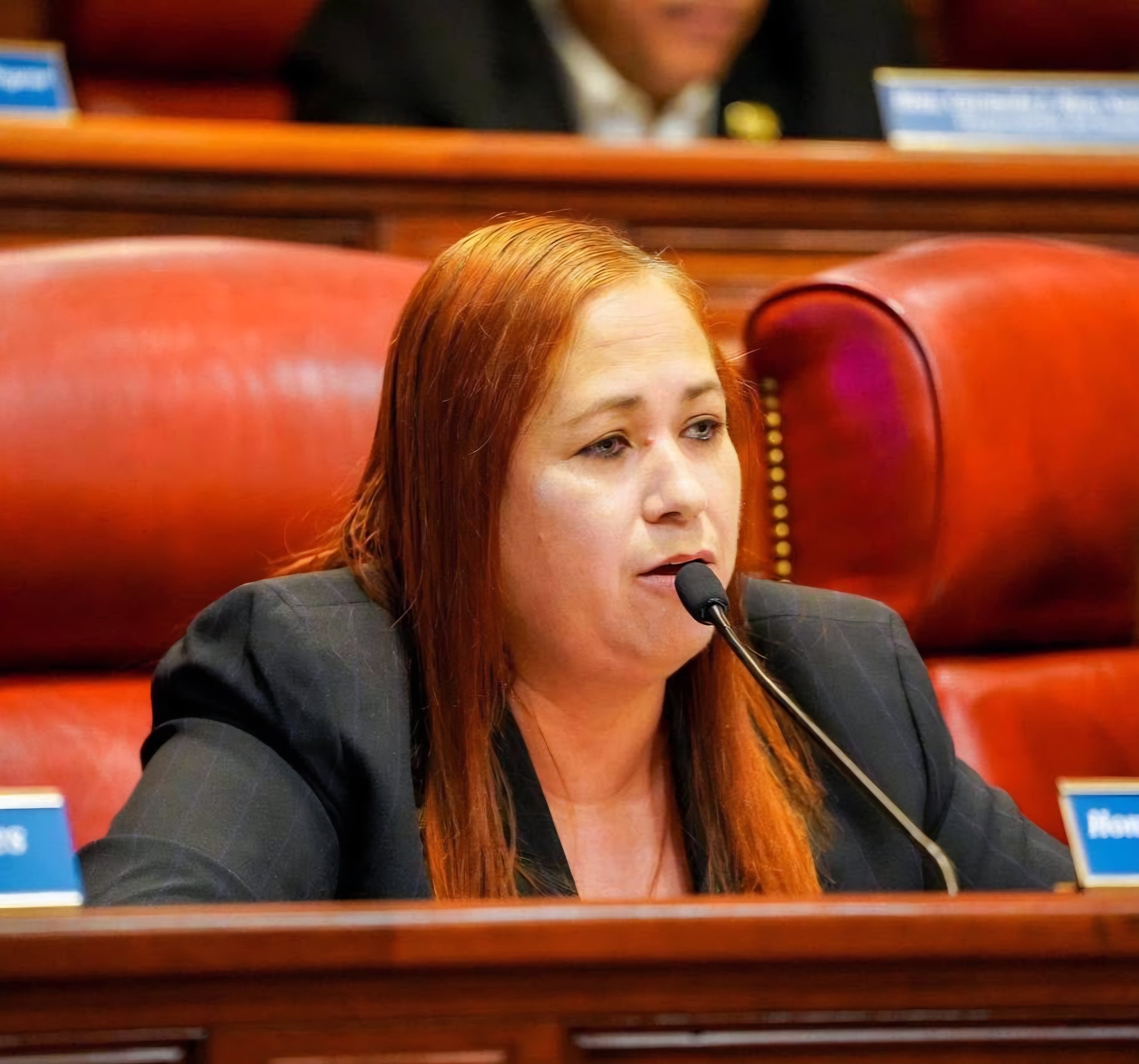 Karen Román Rodríguez es senadora por el distrito 4 de Mayagüez-Aguadilla.