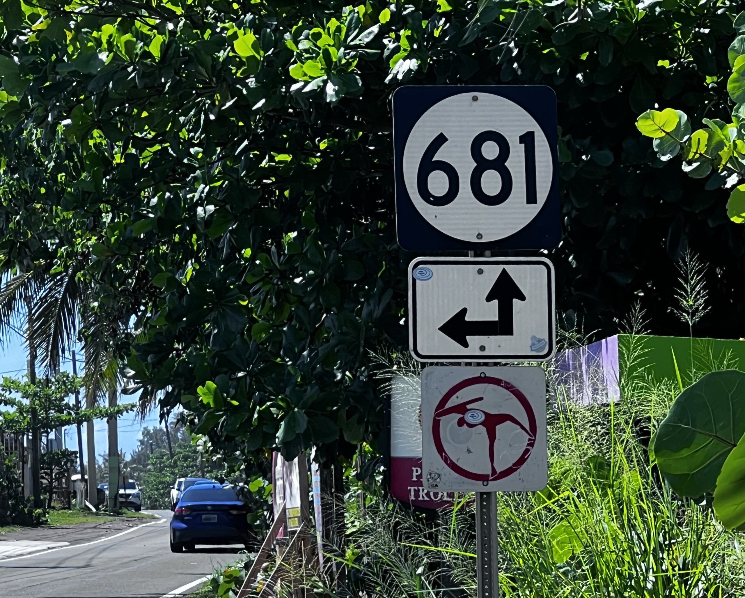 El accidente ocurrió en la carretera PR-681.