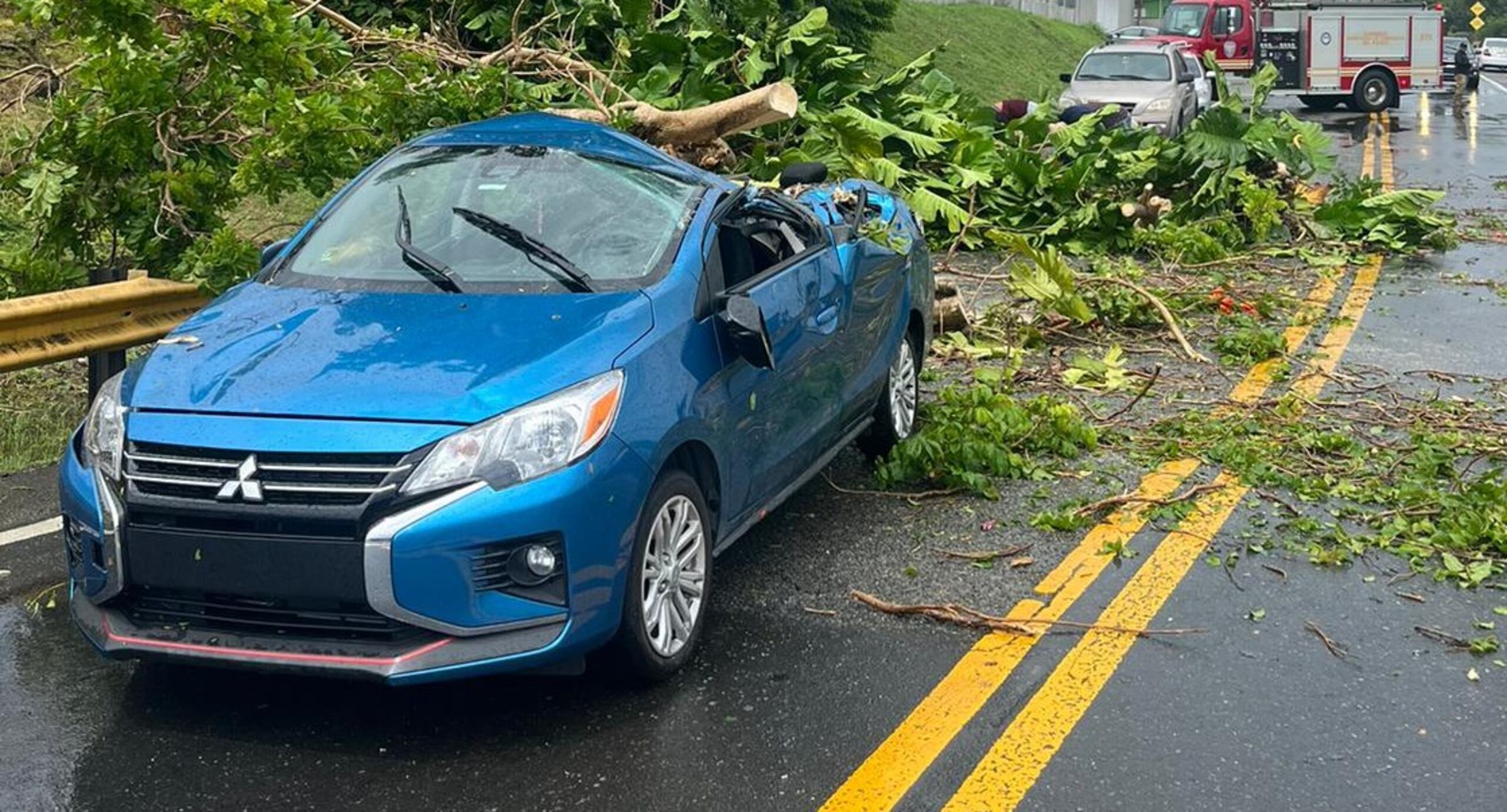 Árbol cae encima de auto en Yabucoa. Una mujer tuvo que ser transportada al hospital.