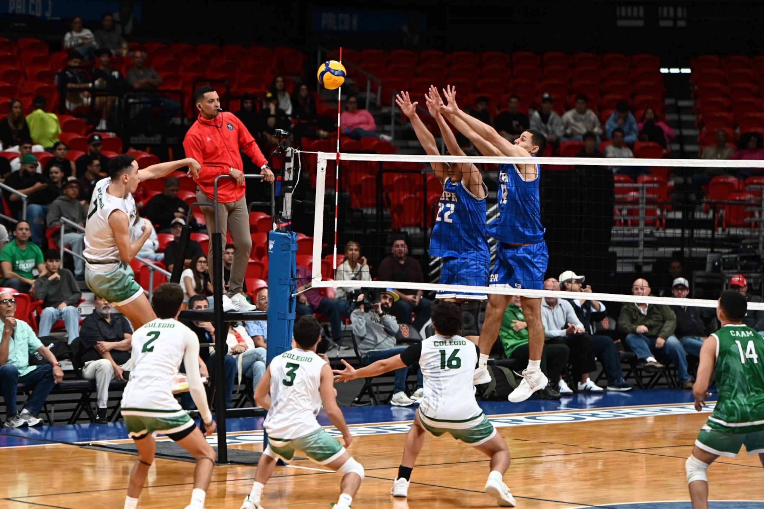 Los Castores buscan su primer campeonato del voleibol de la LAI. En la foto dos de sus jugadores se levantan para bloquear un ataque de los Tarzanes de la UPR de Mayagüez.
