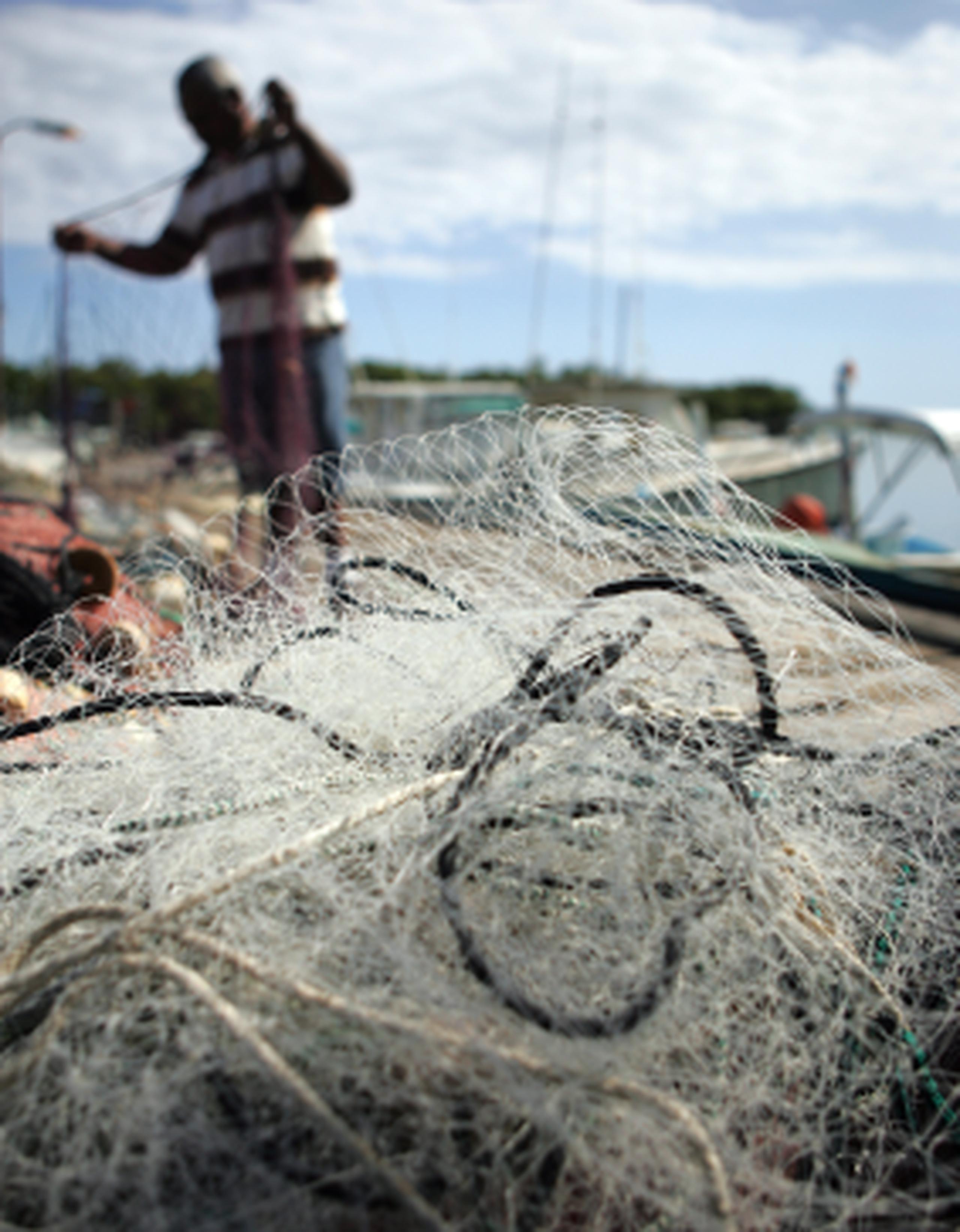 Solicitan que se decrete una moratoria en la aplicación del Reglamento de Pesca de Puerto Rico.(Archivo)
