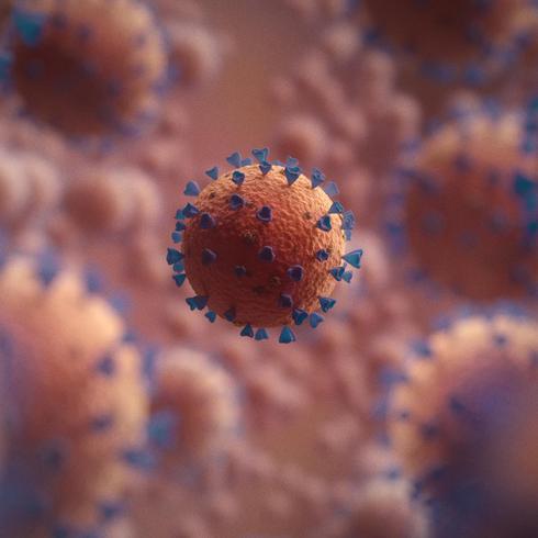 El coronavirus puede afectar el cerebro según un estudio