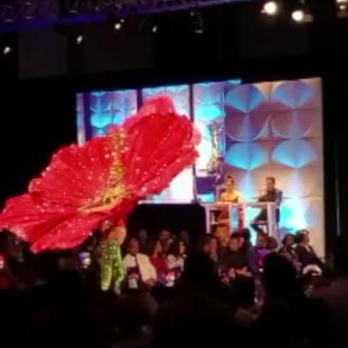 Arrasa Madison Anderson con el coquí y la flor de maga en Miss Universe
