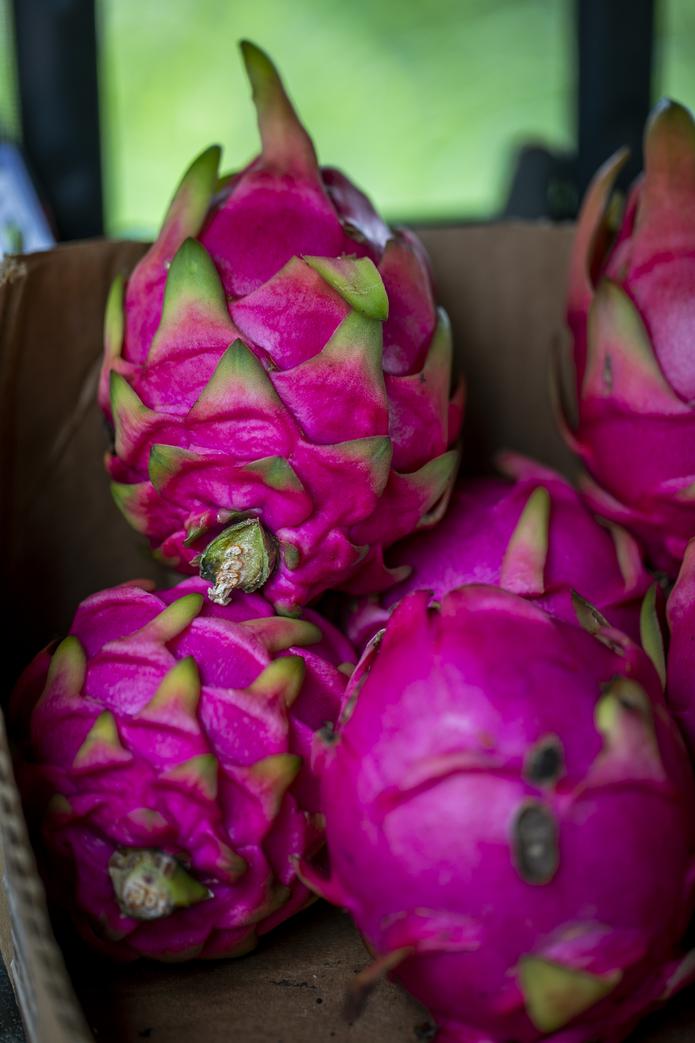 Pitahayas, también conocidas como "dragon fruit". 