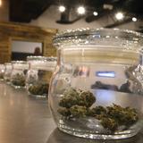 Asociación de Cannabis advierte preocupantes cambios legislados a su industria