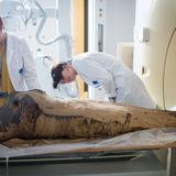 Descubren momia egipcia embarazada