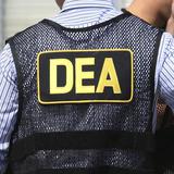 Federales desarticulan ganga que transportaba cocaína a los Estados Unidos