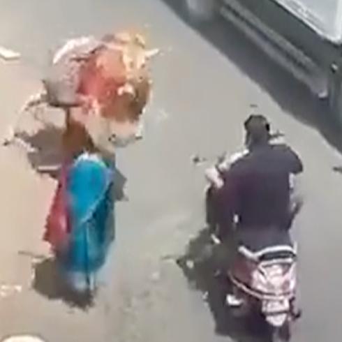 Motociclista recibe ataque frontal de un toro