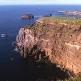Hallan en Madeira el fósil de hormiga más antiguo de una isla de origen volcánico 