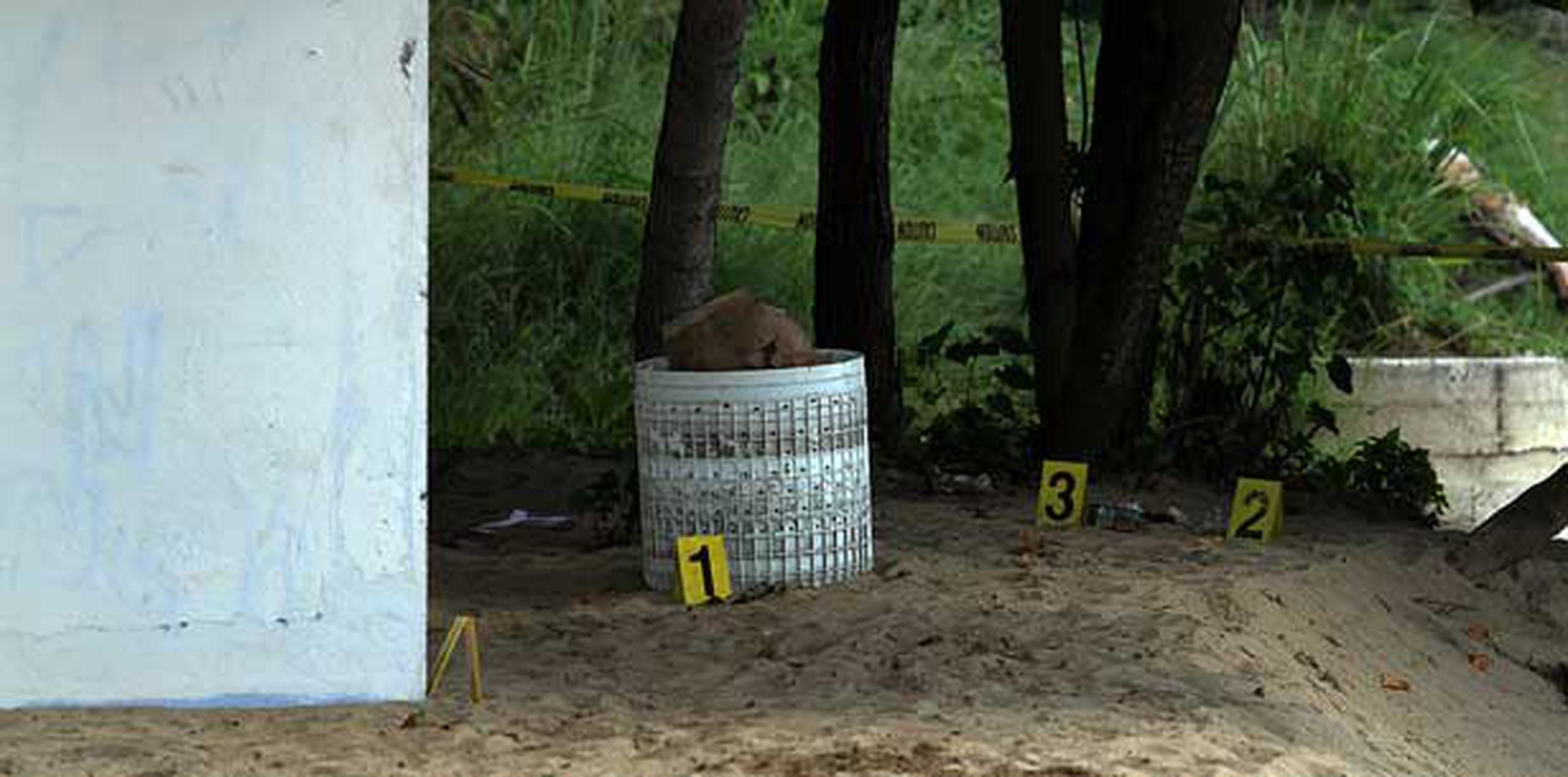 El niño fue encontrado el pasado año gravemente herido dentro el cilindro de una lavadora en una playa de Rincón. (Archivo)