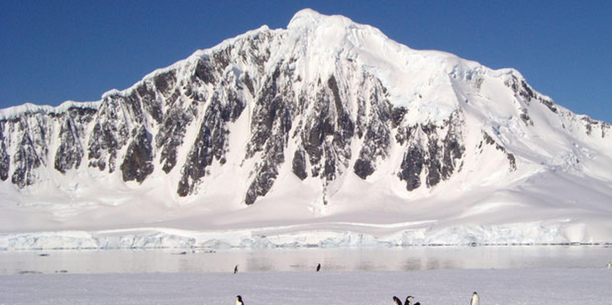El deshielo en la Antártida oriental “incrementa el riesgo de un alza de varios metros (más de 10 pies) en los niveles del mar en el próximo siglo”. (Archivo)