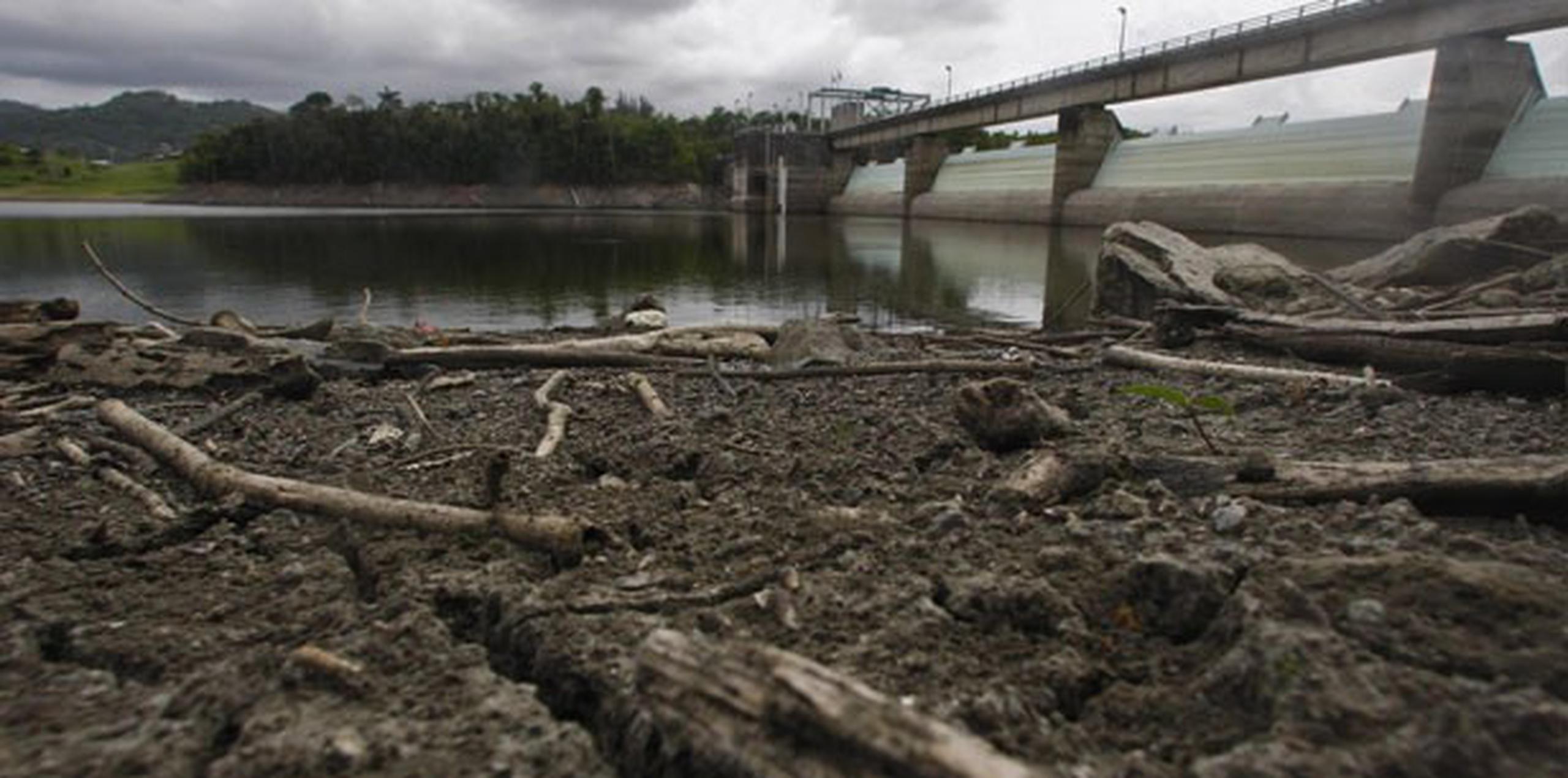 Una de las opciones que debe considerar el gobierno es  hacer una segunda represa en el lago Carraízo. También buscar nuevas alternativas para el dragado de los lagos. (Archivo)