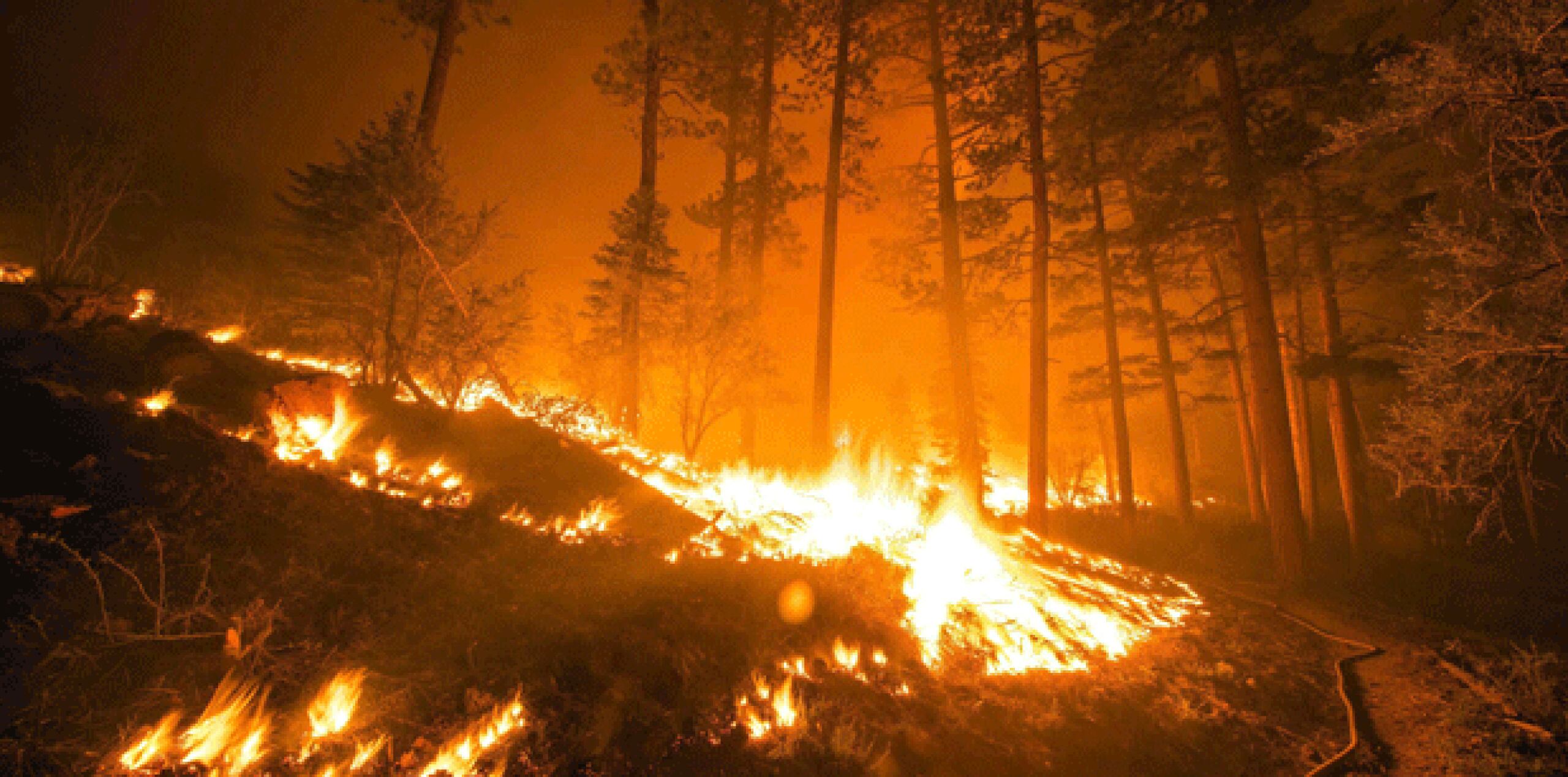 El incendio que está devastando el terreno escarpado de los montes San Bernardino desde hace una semana se extendió hacia el desierto en el este. (EFE)