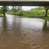 Buenas noticias: Varios embalses aumentan sus niveles tras fuertes lluvias de ayer