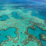 La Gran Barrera de Coral sufre blanqueamiento generalizado