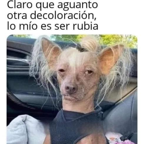 Los mejores memes de la semana