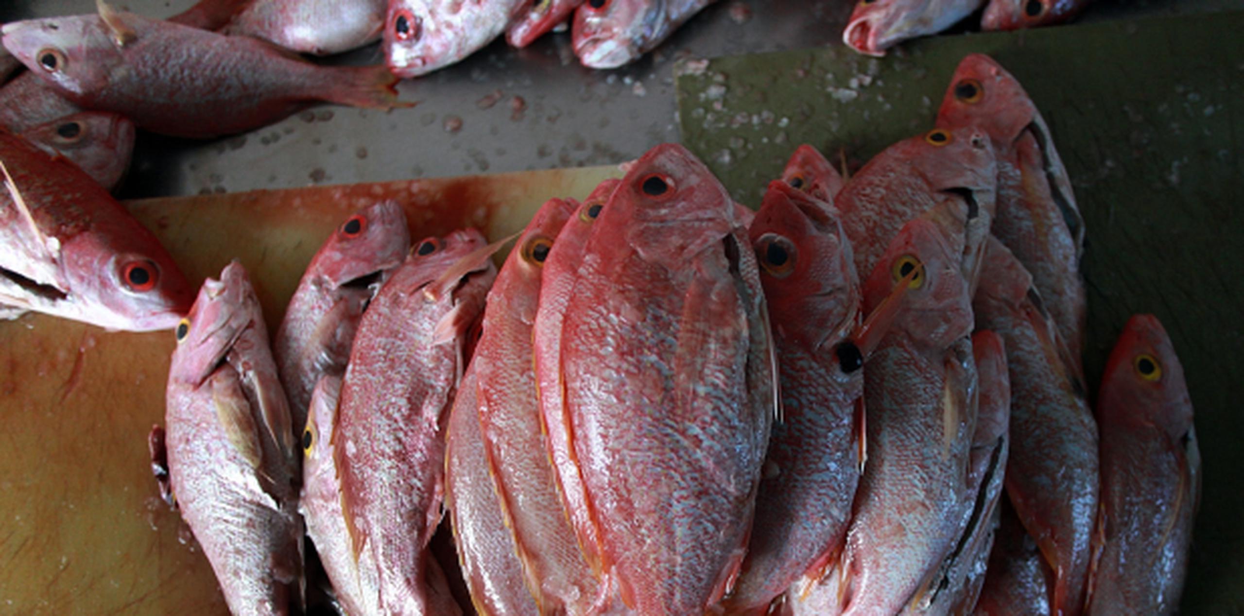 Los científicos observaron que el pescado expone frecuentemente a los seres humanos a contaminantes orgánicos persistentes. (Archivo)