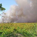 Bomberos combaten gran fuego forestal en Toa Baja