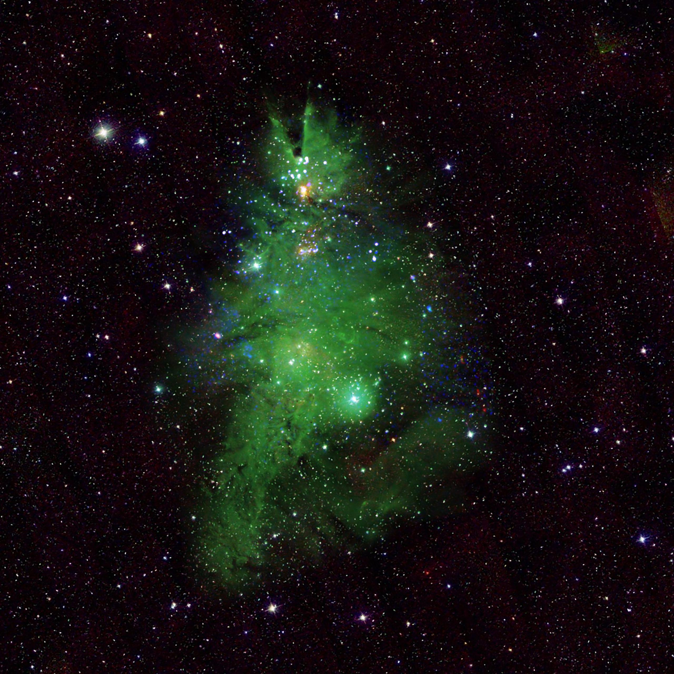 El conjunto de estrellas “NGC 2264″ está compuesto por cerca de cuarenta estrellas jóvenes y gases, y sus colores forman un “árbol cósmico” de luces y colores muy brillantes.