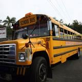 En Moca “desaparecen” 35 camiones, dos guaguas escolares y una excavadora