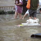 Cifra de muertos por inundaciones en China se dispara a 300