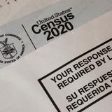 Proponen más opciones en la categoría de raza para el Censo 2030