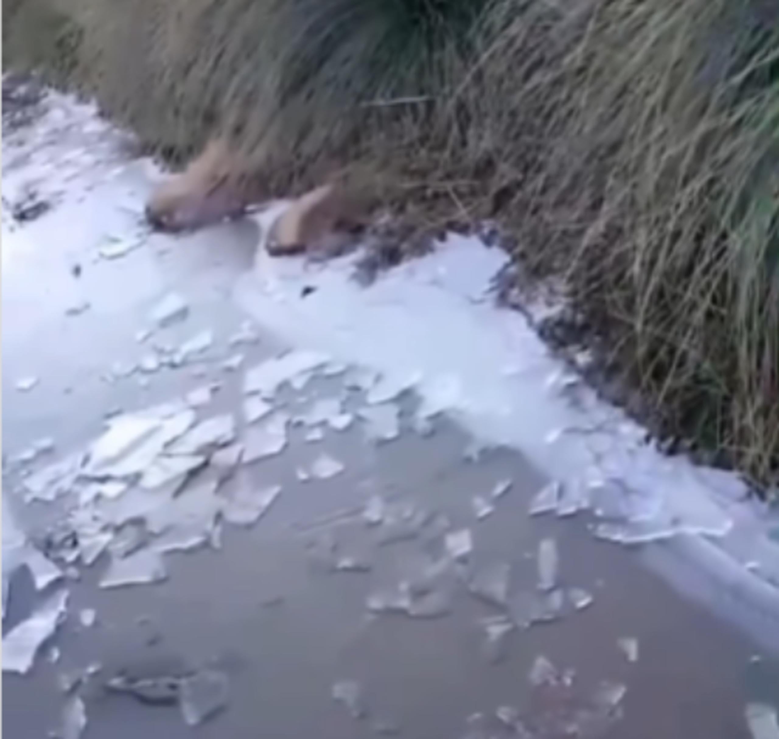 Las imágenes del arroyo congelado se volvieron virales en el fin de semana.