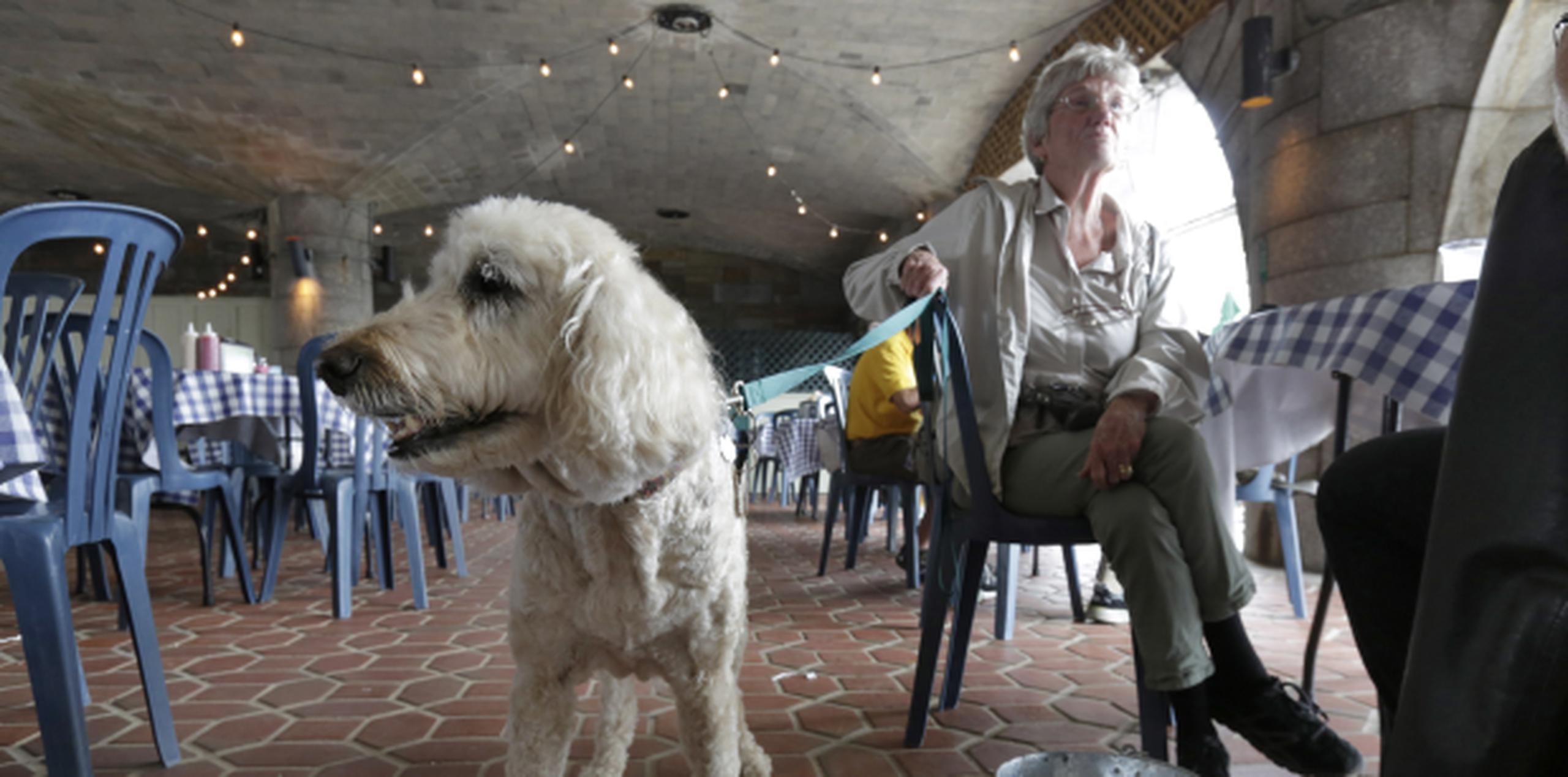 Loni Dantzler, de San Francisco, aquí con su perro Zola.