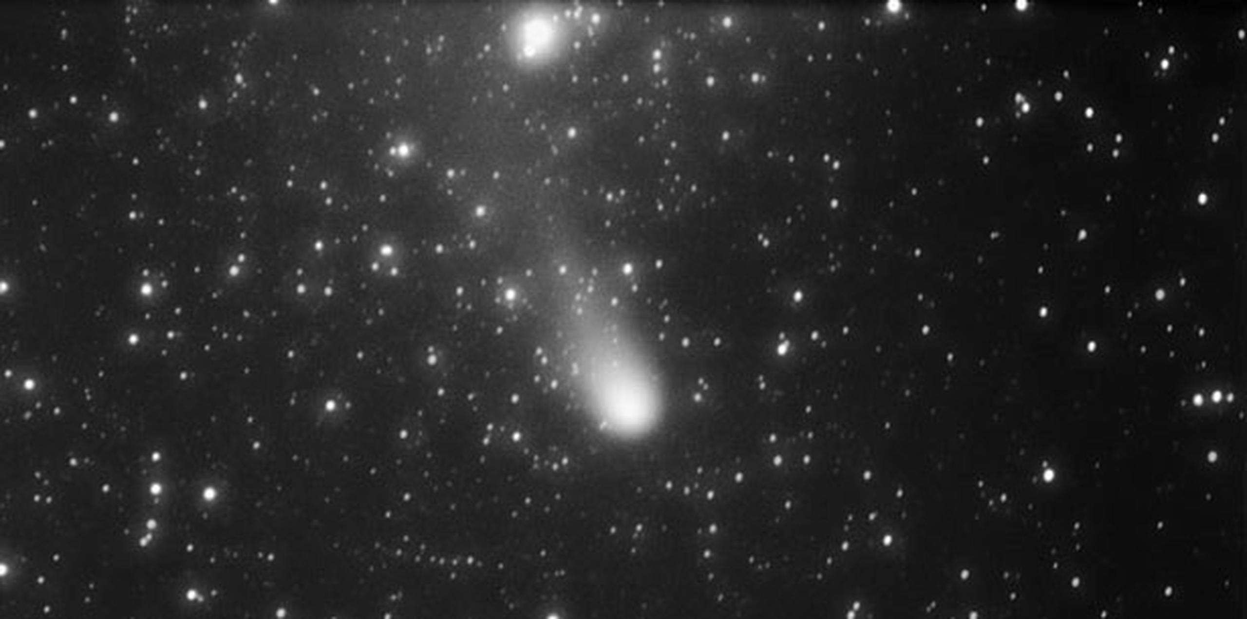 Cometa 21P fotografiado desde Caguas. (Alex Guadalupe / Sociedad de Astronomía del Caribe)