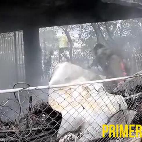 Se quema casa abandonada repleta de basura en Puerto Nuevo