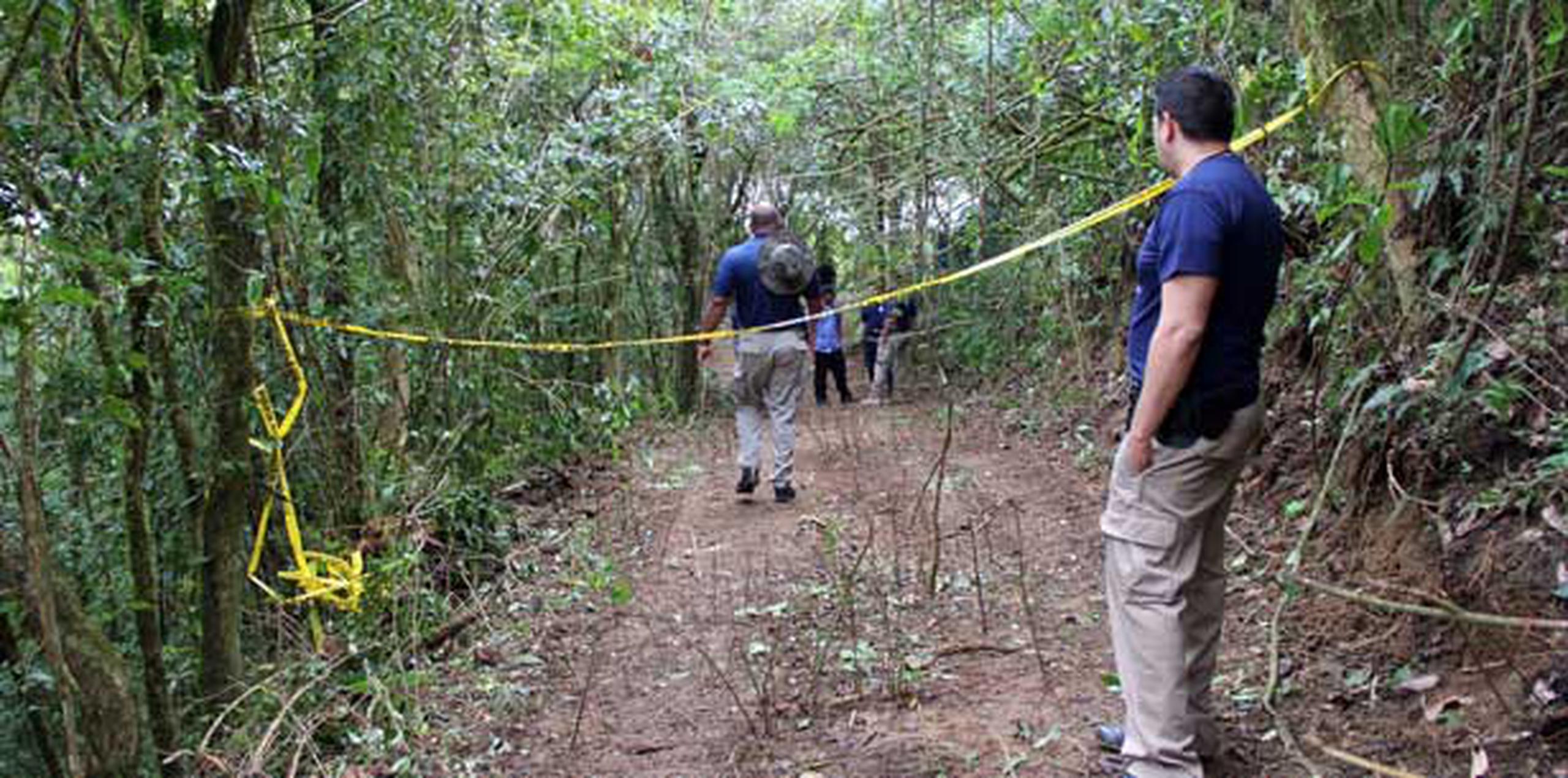 La evaluación de los restos se ha dificultado por lo remoto del lugar boscoso, que queda cerca de la carretera PR-746. (alex.figueroa@gfrmedia.com)