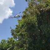 Cierran tramo de la PR-3 en Maunabo por búsqueda de guardia penal 