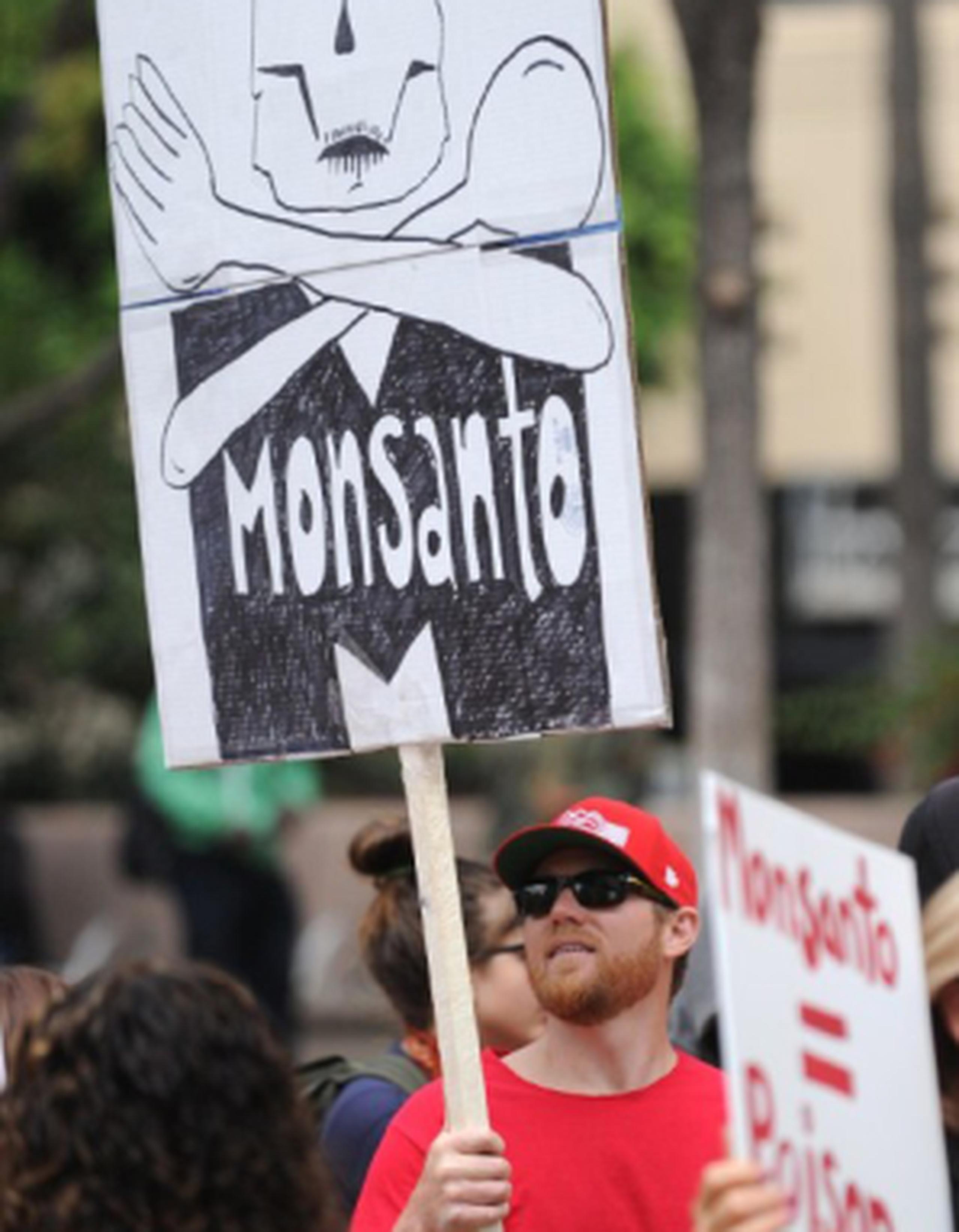 El sábado, miles de ciudadanos de diferentes partes del mundo realizaron una protesta simultánea contra las semillas transgénicas de la empresa Monsanto. (AFP)