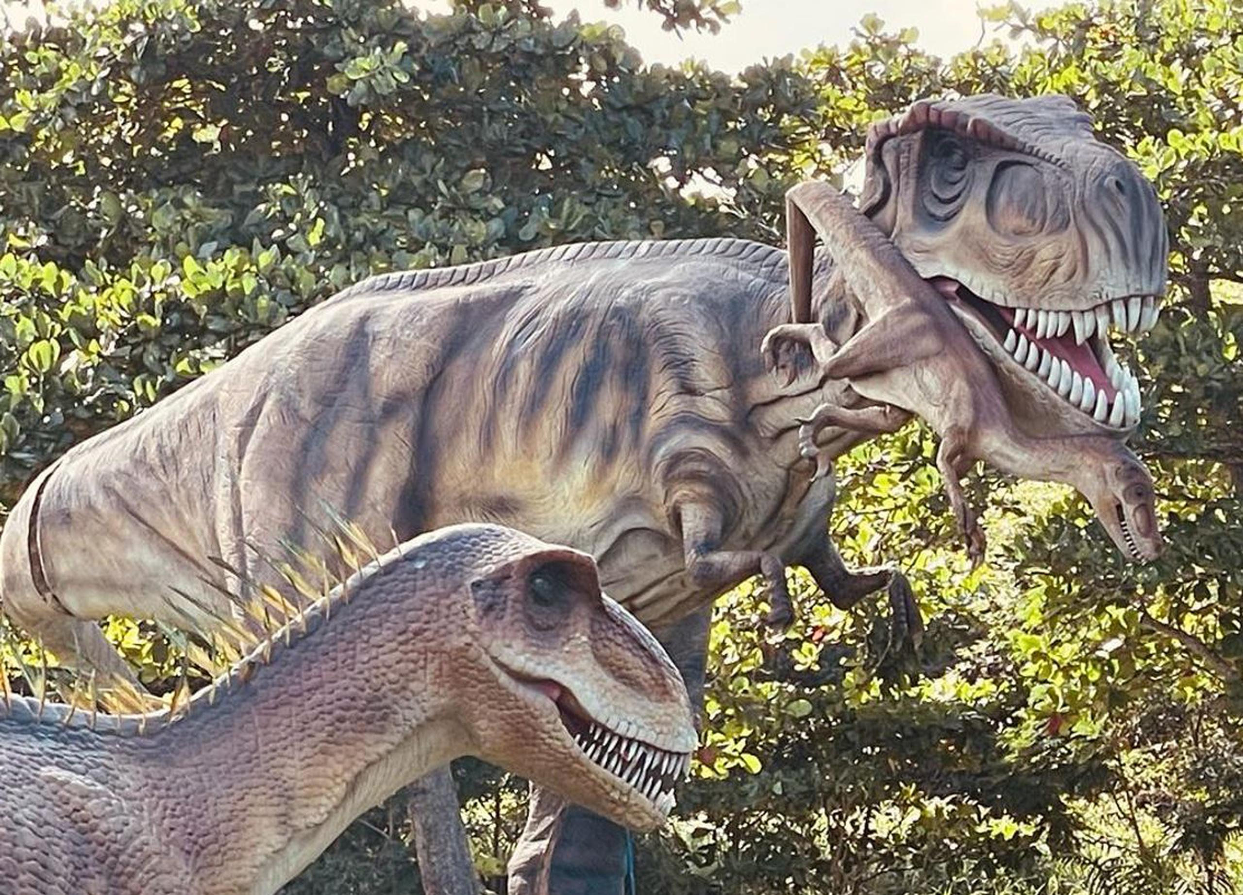 Dinosaurs Animatronics continua en el Parque Luis Muñoz Marín, con más de 40 especímenes con movimiento y a escala real.