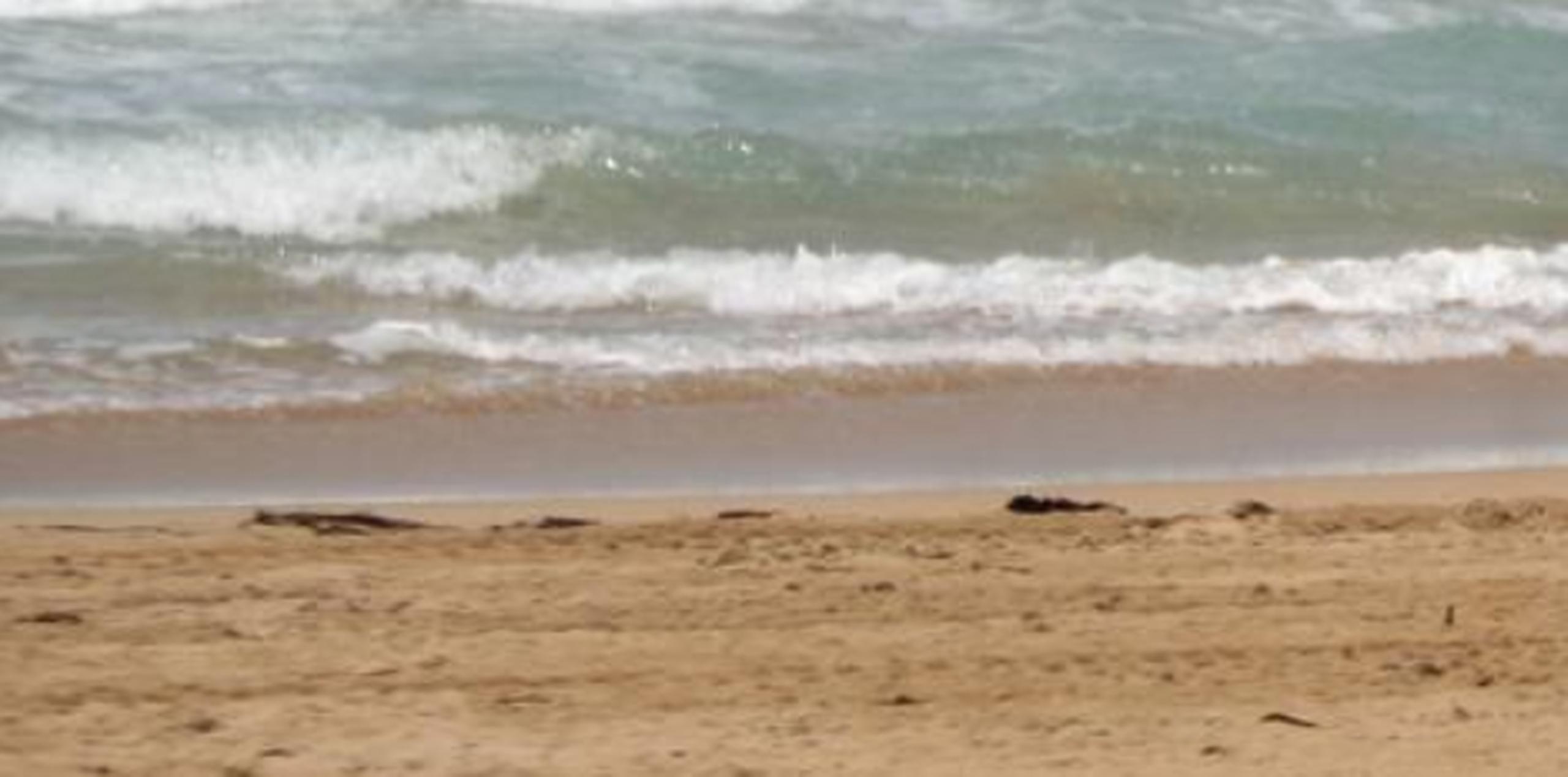 El ahogamiento ocurrió en una playa del Barrio Puntas de Rincón. (Archivo)